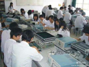 專業(yè)高效 深圳惠州手機(jī)玻璃面板Sorting服務(wù)與電腦維修的一站式解決方案